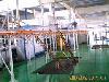 供应涂装生产流水线