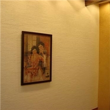 硅藻泥,硅藻土,硅藻泥壁材