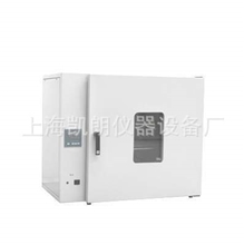 电热恒温鼓风干燥箱DHG-9245A鼓风干燥箱恒温干燥箱干燥箱