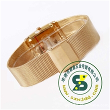 电镀厂低价提供不锈钢/铜/合金手表带真空IP电镀IPG金