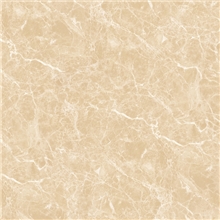 商品编号：8SQA5001全瓷质高清喷墨仿古砖高洁亮全抛釉