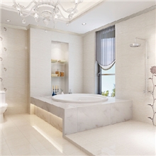 十大品牌冠珠陶瓷元素100系列62141厂家直销免费代理一件代发