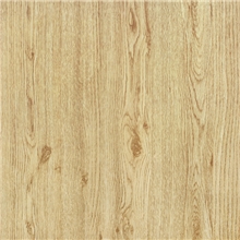 佛山市陶百金陶瓷有限公司瓷木地板DF6050