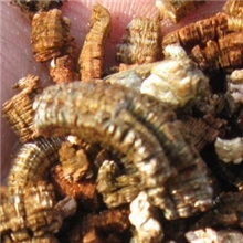 轩启蛭石加工厂生产供应膨胀蛭石1-3目2-4目