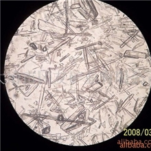 供应二级品针状粉