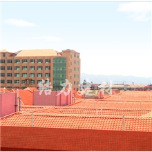 供应别墅瓦，屋面瓦，厂房用瓦，合成树脂瓦，新型瓦，