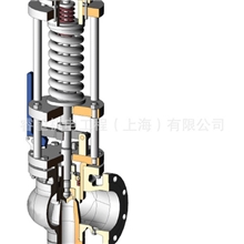 ASMEI,Siz2507安全阀，电厂，PowerPlantSafetyVavle,德国