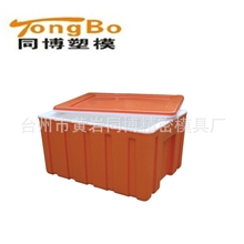 专业塑料保温箱模具制造台州箱子模具制造