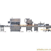 专业生产ZXR全自动灌装机械/涂料灌装机/刹车油灌装机