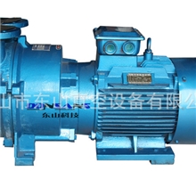 供应专业生产2BV-5110水环真空泵