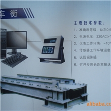 供应电子轻轨衡全自动无人值守