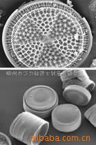 供应硅藻土(图)