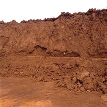 低品位进口铁矿（赤铁矿）