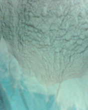 供应耐火材料、涂料、油漆等行业用的180目或200目金属铝粉铝粉