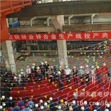 厂家直销锌合金生产线优质锌合金生产铝合金