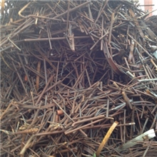 供应螺纹钢筋剪料