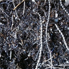 供应铁屑|熟铁屑纯铁屑废钢废铁炉料常州