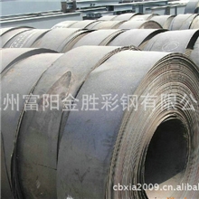 专业供应Q195热镀锌钢带打包带卷帘门