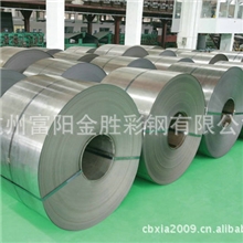 专业生产供应卷帘门热镀锌包装钢带