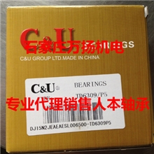 人本水泵轴承6304