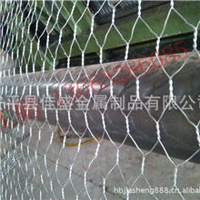 孔径140*160铅丝笼袋|铅丝笼网|铅丝笼垫|8#铅丝笼箱