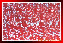 供应高品级金刚石精微粉人造金刚石金刚石