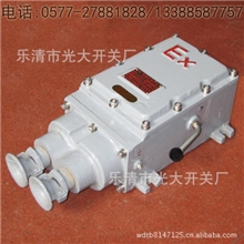 CH3系列防爆铁壳开关CH3-10