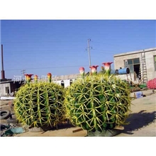 曲阳欣慧雕塑长期供应大型室外树脂仙人球仿真仙人球