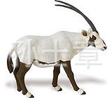 厂家销售树脂仿真羚羊玻璃钢仿真动物雕塑树脂动物模型雕塑