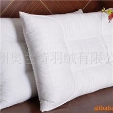 厂家推荐长方形纯白记忆保健枕头
