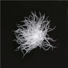 厂家直销50灰鸭绒