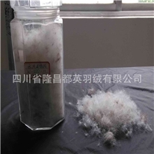 供应四川水洗羽绒羽毛高品质灰鹅绒美标70%