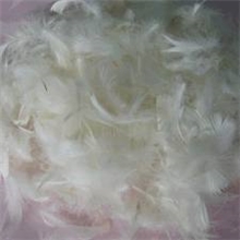 扬州羽绒厂家供应水洗2-4cm白鸭毛片羽毛填充被子枕头用