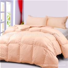 扬州万达提供冬季羽绒被蚕丝被酒店宾馆首选