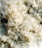 【阿里巴巴推荐】水洗鸭绒供应优质新国标50%水洗灰鸭绒