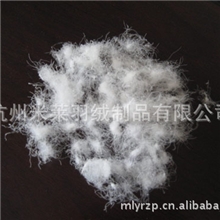 【阿里巴巴推荐】大朵东北精品白鹅绒90%水洗白鹅绒