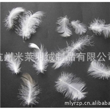 【阿里巴巴推荐】供应优质鹅毛片2-4CM水洗鹅毛片水洗毛片