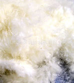 【阿里巴巴推荐】优质水洗白鸭绒新国标40%水洗白鸭绒质量可靠