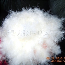 供应60%水洗鸭绒厂家批发白鸭绒羽绒服填充物