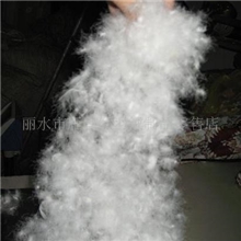 90白鸭羽绒