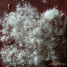 国标80%白鸭羽绒