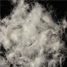 厂家直销80%国标白鹅绒清货服装填充物批发羽绒羽毛