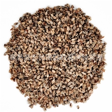 供应二级干洗苦荞麦壳