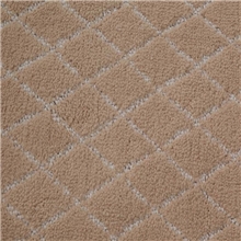 厂家批发超纤提花地毯、沙发垫、门垫、椅子坐垫、雪尼尔客厅毯