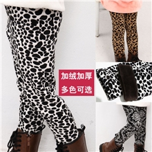 童装秋冬款童裤2013新款韩版加绒冬棉裤女童全棉卡通打底裤