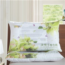 贝瓦家纺决明子枕芯荞麦薰衣草苿峲花决明子保健枕护颈枕厂家批发