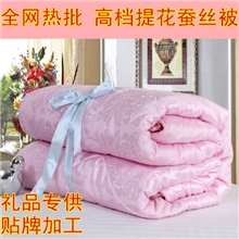 厂家直销提花仿蚕丝被冬被蚕丝夏凉被被子被芯批发贴牌