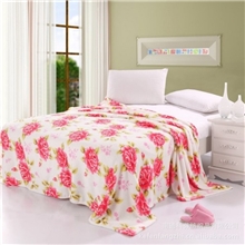 床单毛毯珊瑚绒毛毯珊瑚绒毯珊瑚绒毯子羊毛毯毛毯绒毯加