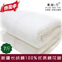 供优质棉花被被褥/垫被/酒店/军用/学校棉花被批发可定制被套被芯