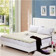 南通家纺床上用品超柔羊羔毛床垫学生床垫床垫批发一件代发